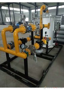 河北慶騰LNG燃?xì)庹{(diào)壓箱 高效可靠的燃?xì)庠O(shè)備解決方案